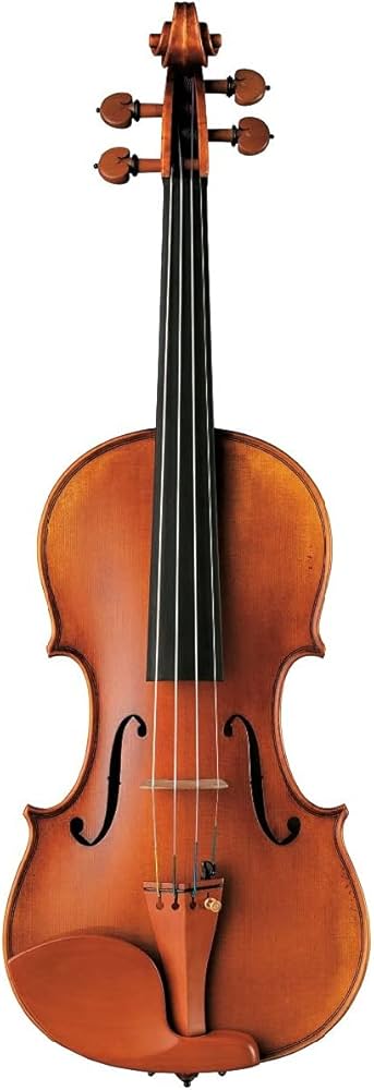 Amazon.co.jp: ヤマハ YAMAHA Braviol ブラビオール バイオリン V25GA