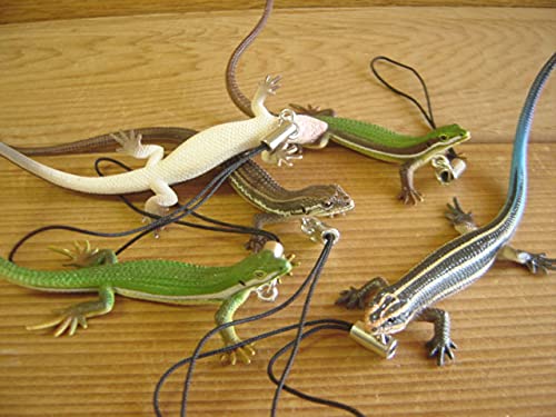 Amazon.co.jp: Gti10GOネイチャーテクニカラーMONOトカゲヤモリ