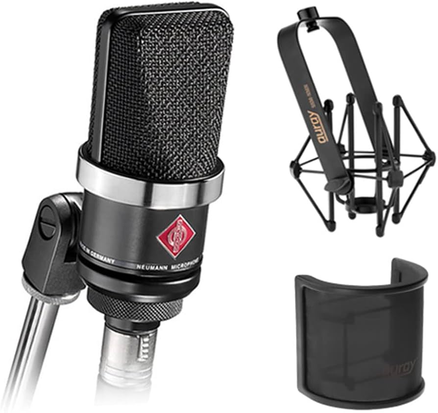 Amazon.com: Neumann TLM-102 Large Diaphragm Studio Condenser
