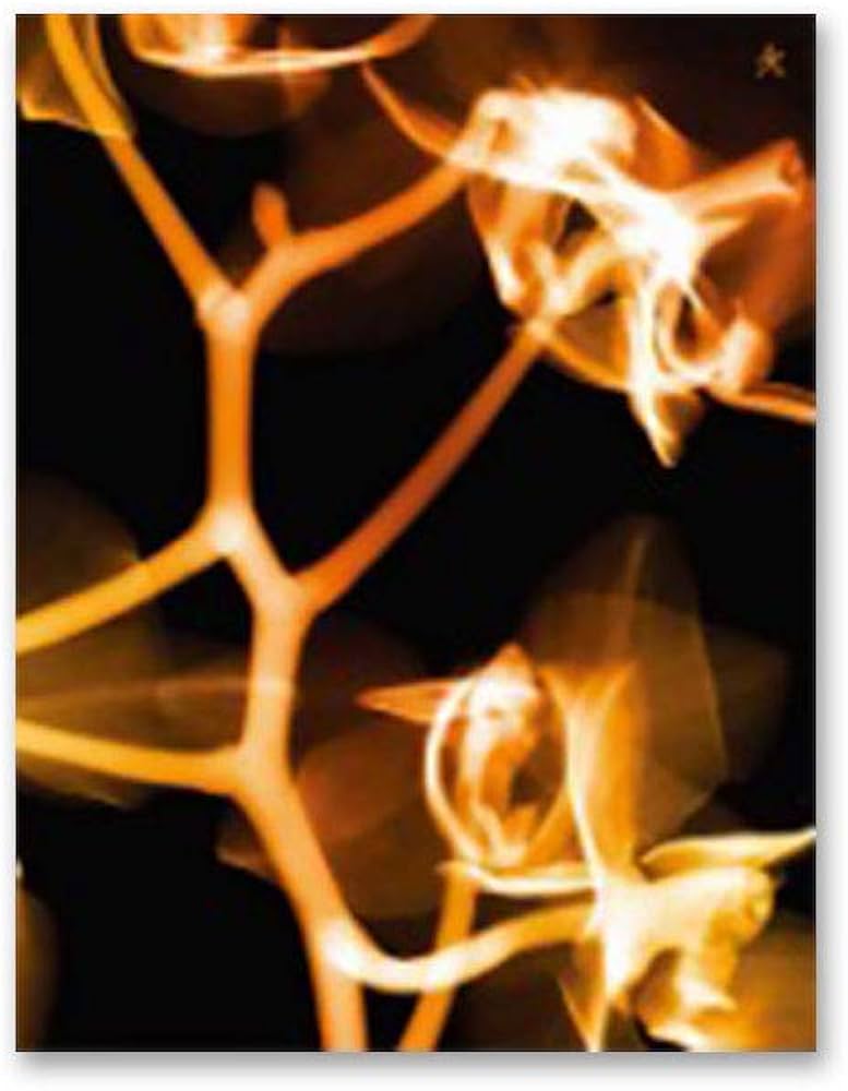 Amazon.co.jp: (G)I-DLE I burn 4th Mini Album (早期特典: Lucky