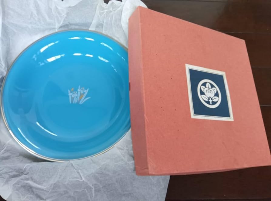 Amazon | たち吉ターコイズブルーカレー皿5枚セット5種類レトロ和