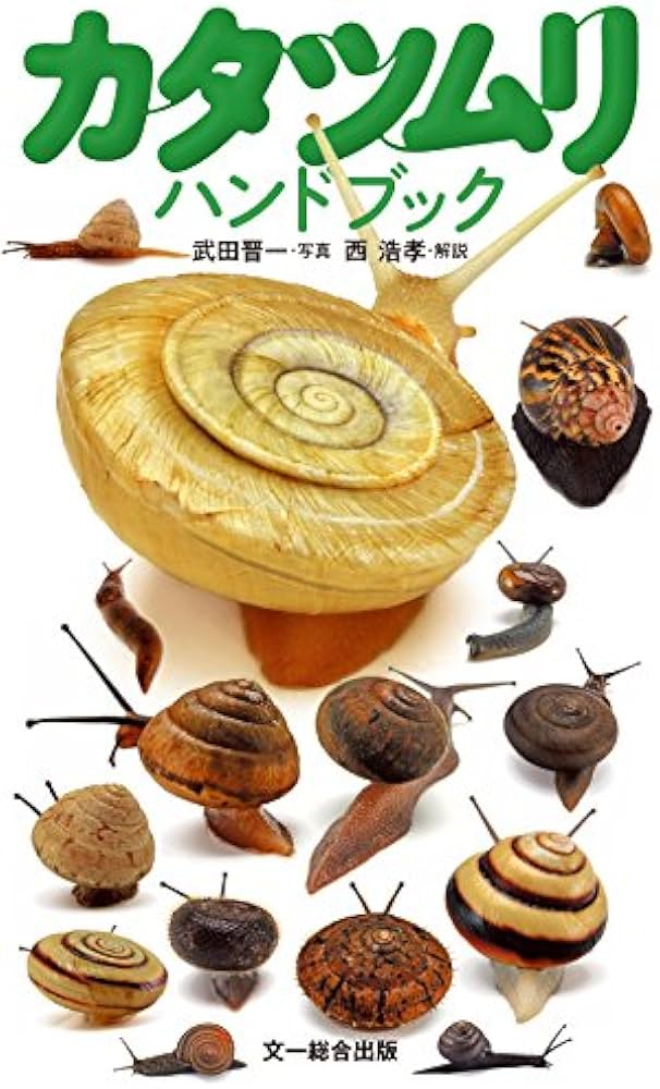 Amazon.co.jp: カタツムリハンドブック : 西 浩孝, 武田 晋一