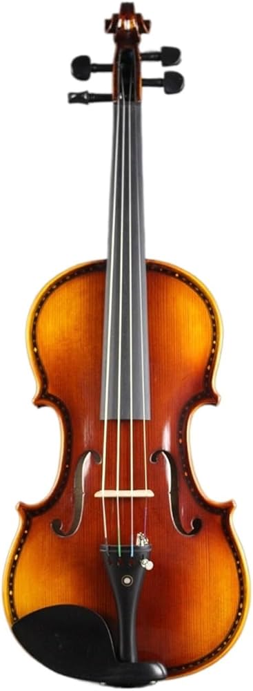 Amazon.co.jp: バイオリン 4/4 彫刻バイオリン、美しい描画ワンピース