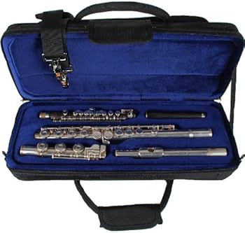 Amazon | プロテック フルート&ピッコロダブルセミハードケース