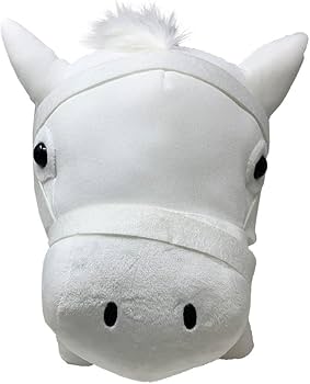 51Bwngf2bbL._AC_UF350,