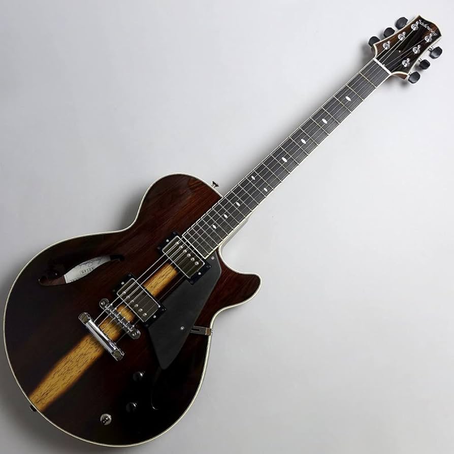 Amazon | Sadowsky Semi Hollow Model Brazilian Rosewood #A1245