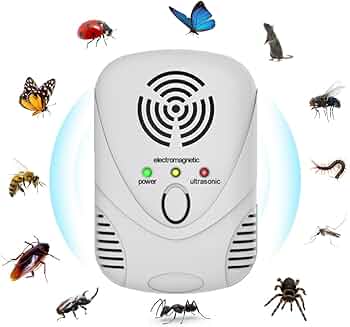 51Chwads3iL._AC_UF350,