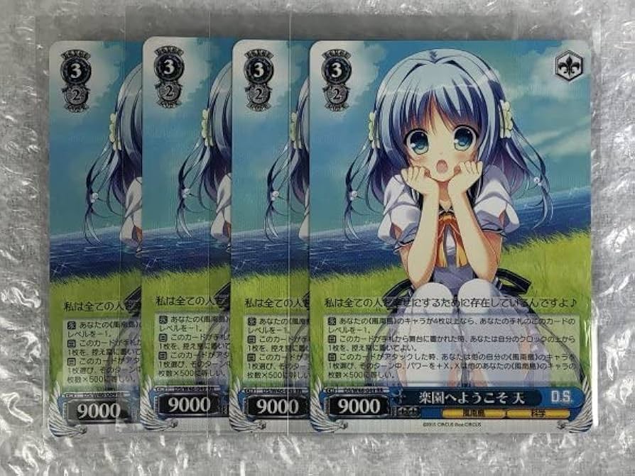 Amazon.co.jp: ws RR 楽園へようこそ 天 4枚 セット DS/W46-049 D.C.