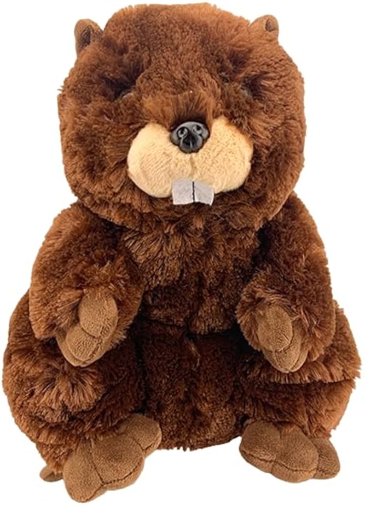 Amazon.co.jp: ジャスティンビーバー バディベア ぬいぐるみ 動物 - 16