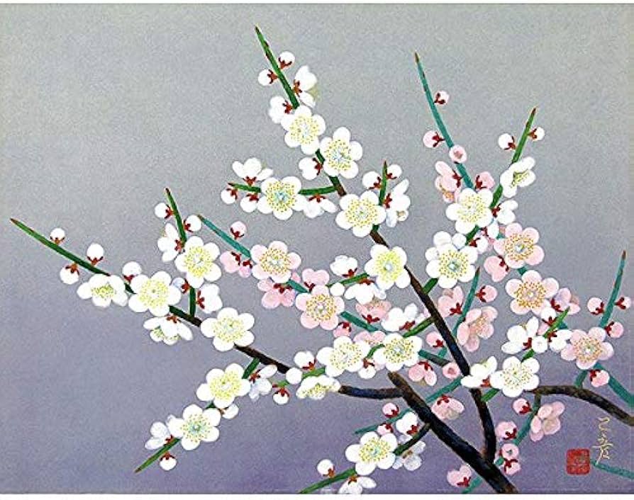 Amazon.co.jp: 村松乙彦『梅花』日本画 風景画 植物 うめ 白梅 春