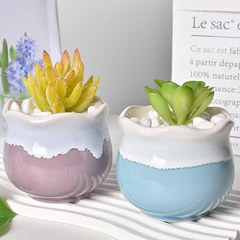Amazon.co.jp: koundeneko 多肉植物鉢 6個セット 陶器製 2号鉢 小型