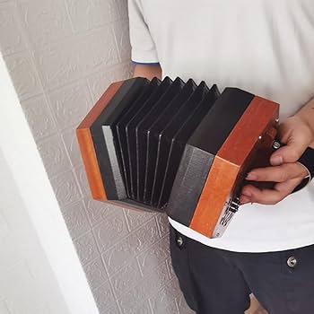 Amazon | 30ボタンアコーディオンコンサータン、エントリーレベルの