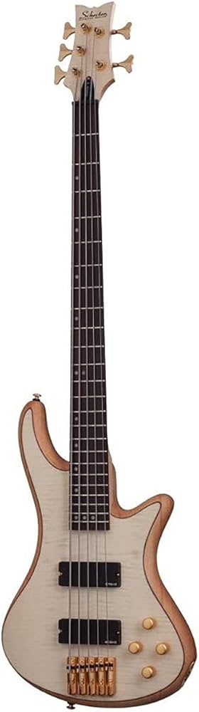 Amazon | Schecter シェクター Stiletto Custom-5 エレキベース (5弦