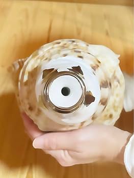 Amazon.co.jp: 巨大肉厚修験道法螺貝 山伏 密教 魔除け 熊よけほら貝