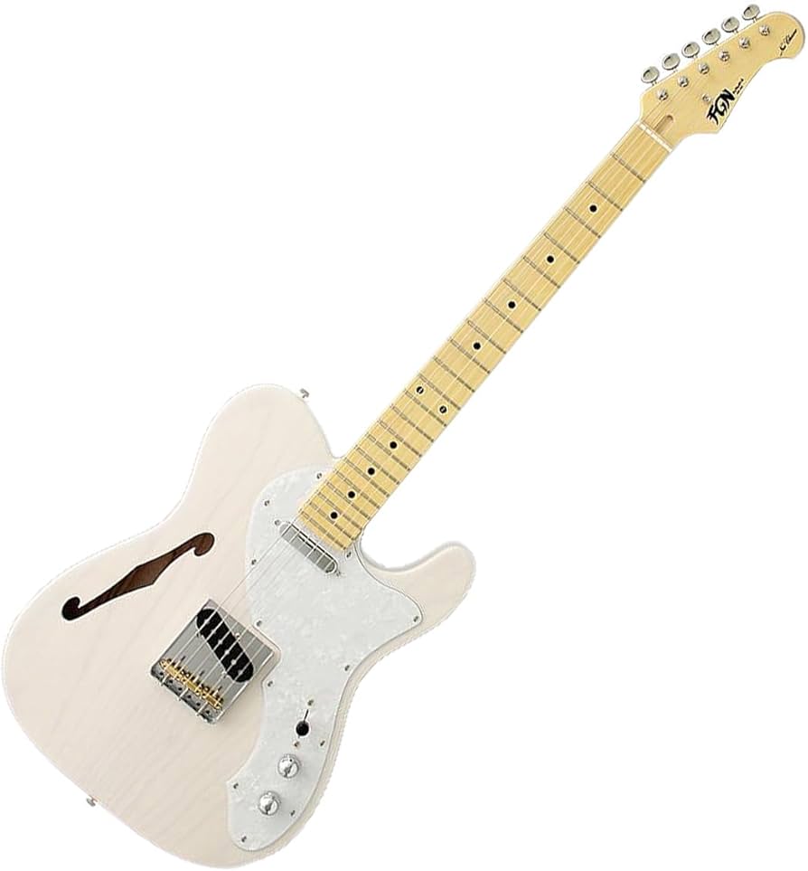 Amazon | FUJIGEN Neo Classic SERIES NTE100MAHT-WB/01 エレキギター