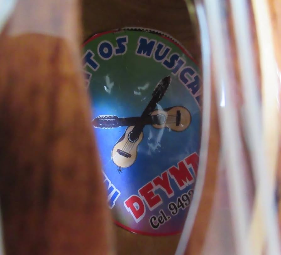 51E6tK9EzBL._AC_UF894,