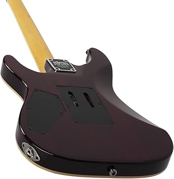 Amazon.com: Schecter Omen Extreme-6 Electric Guitar - Black Cherry