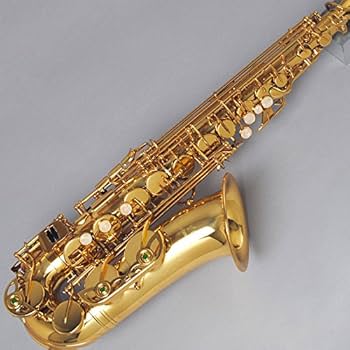 Amazon | DeYu A500 入門用アルトサックス (デユー) | サックス | 楽器