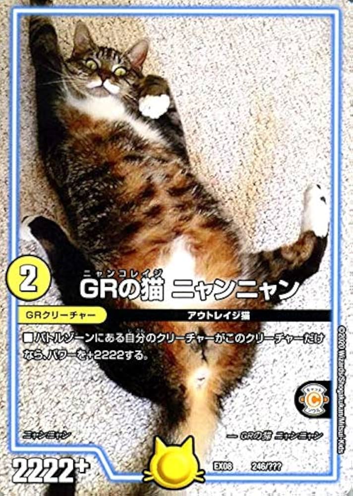 Amazon.co.jp: デュエルマスターズ GRの猫 ニャンニャン 謎のブラック