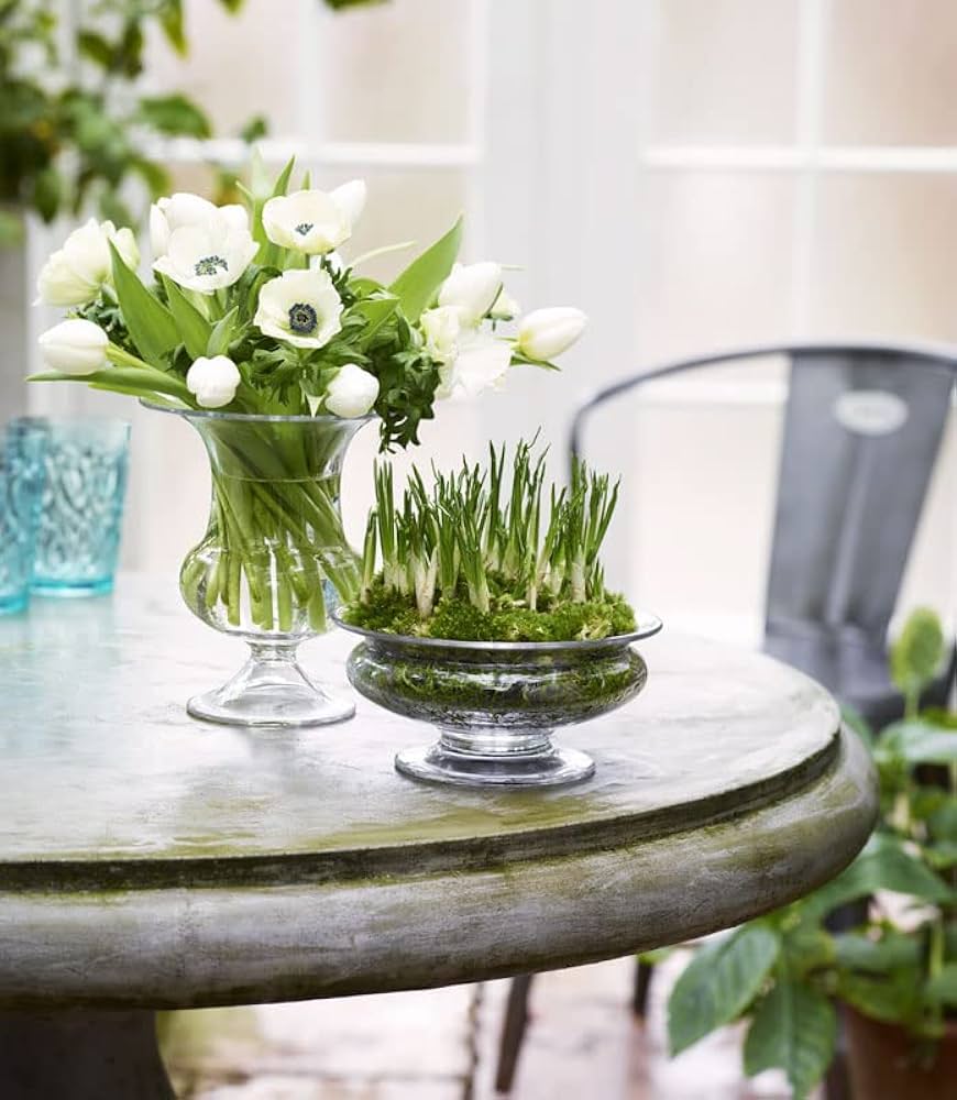 Amazon.co.jp: ホルムガード HOLMEGAARD OLD ENGLISH Vse ベース 24cm