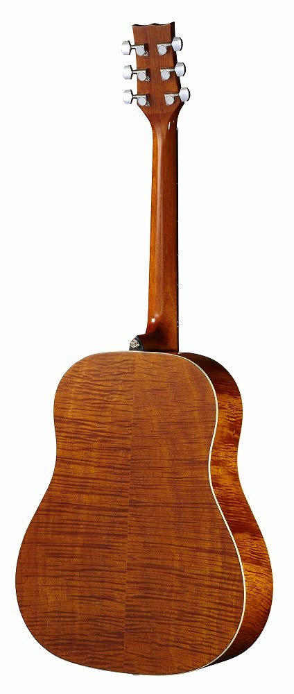 Amazon | Morris/G-021 VYL モーリス アコースティックギター