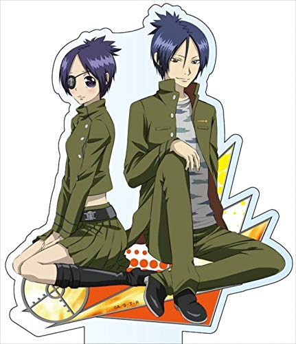 Amazon.co.jp: 家庭教師ヒットマンREBORN! 骸+クローム髑髏セット BIG