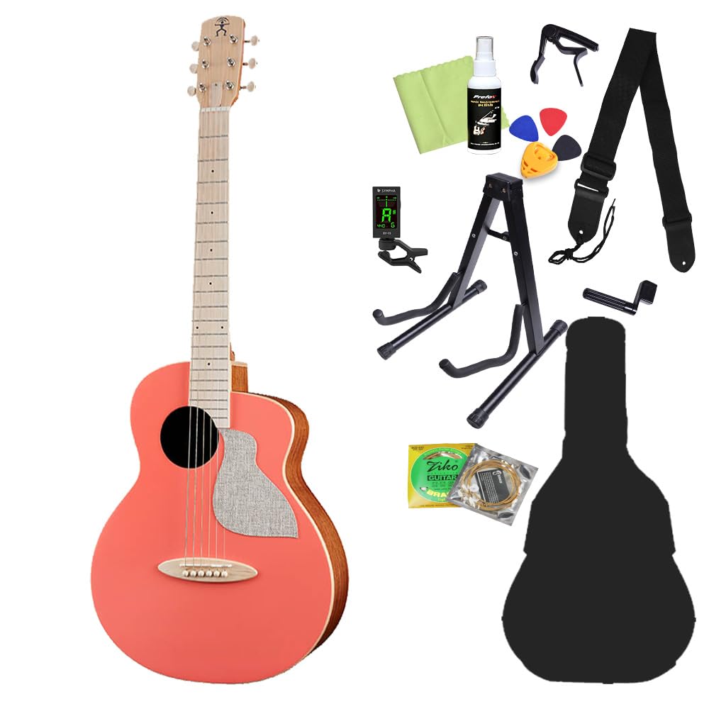 Amazon | aNueNue aNN-MC10 アコースティックギター初心者12点セット