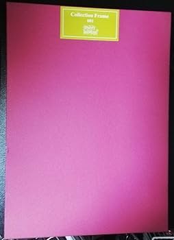 Amazon.co.jp: 中村博文 コレクションフレーム オリジナル複製原画