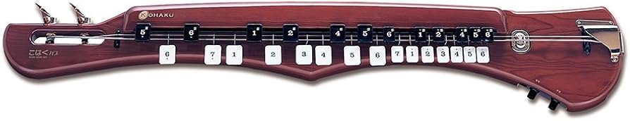 Amazon | SUZUKI スズキ 電気大正琴 こはくバス | 大正琴 | 楽器・音響機器