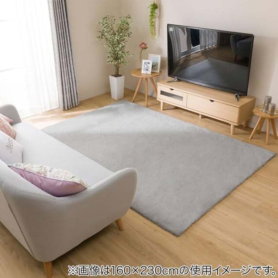 Amazon｜ニトリ(NITORI) アクセントラグ ウサギラグ3 140X200 LGY US02