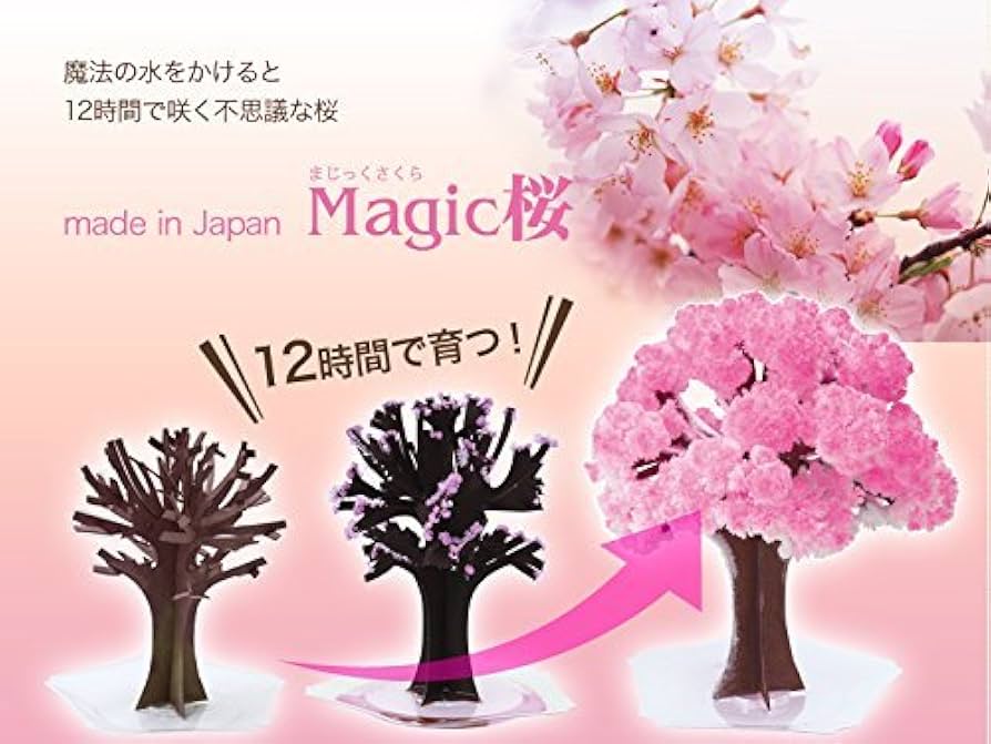 Amazon | マジック桜 (スタンダード) 10時間で咲く不思議な桜