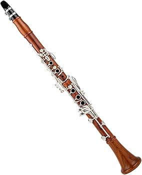 Amazon | クラリネット 木製プロフェッショナルクラリネット Bb 木材