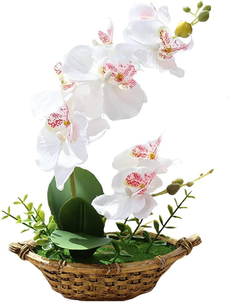 Amazon｜胡蝶蘭 造花 人工観葉植物 光触媒加工 卓上型 船型の鉢植 石鉢