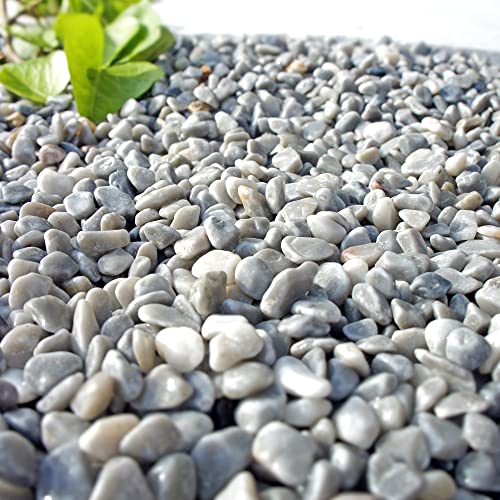 ガーデニング 石 庭石」の人気商品一覧 | 安い商品を通販サイトから