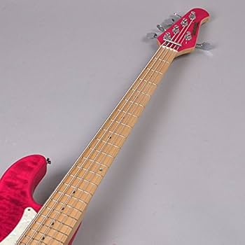 Amazon | EDWARDS E-Bardic STPI 5弦エレキベース/tetsuyaモデル