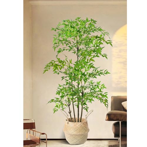 部屋 観葉植物」の人気商品一覧 | 安い商品を通販サイトから探す