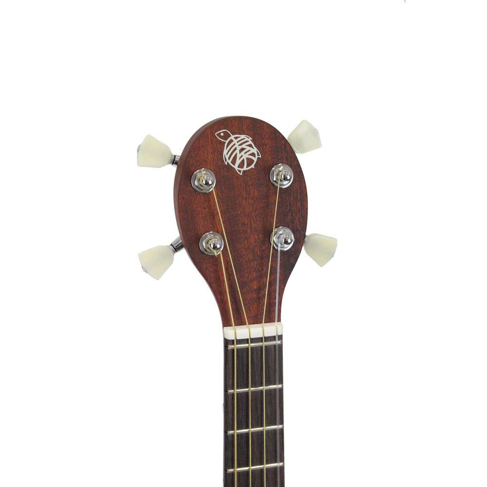 Amazon.co.jp: K.Yairi 奏生 カナイ N 一五一会 (Kヤイリ) : 楽器