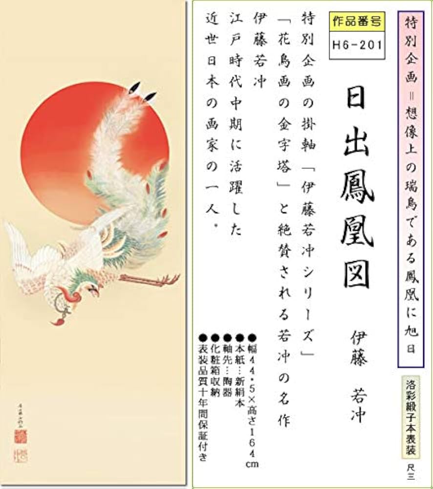 51IkBl6aavL._AC_UF894,