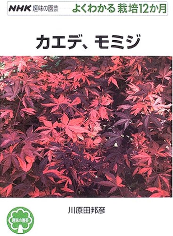 カエデ、モミジ (NHK趣味の園芸 よくわかる栽培12か月) | 川原田 邦彦