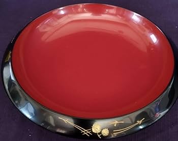 51Ko4Di3q-L._AC_UF350,