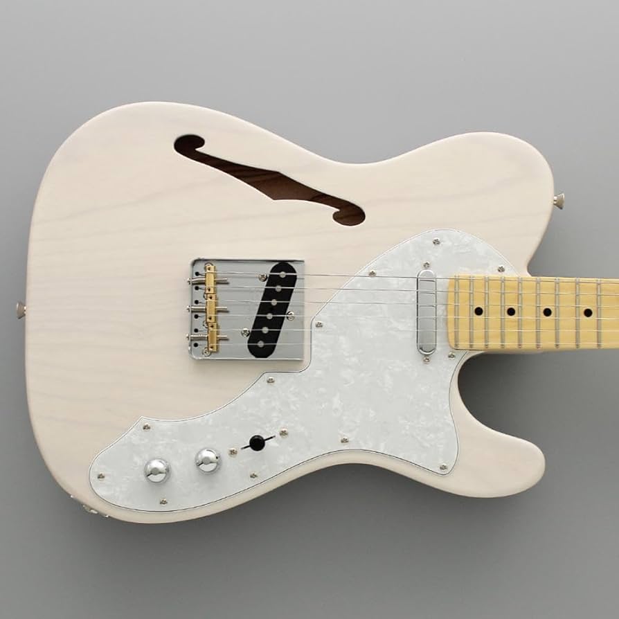 Amazon | FUJIGEN Neo Classic SERIES NTE100MAHT-WB/01 エレキギター