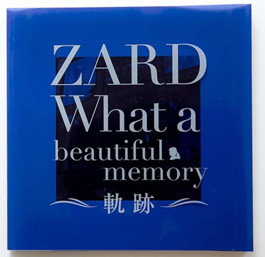 Amazon.co.jp: ZARD ザード 坂井泉水 30th パンフレット「What a