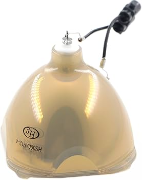 Amazon.com: SNLAMP Original for ET-LAD60A/AW Replacement Projector