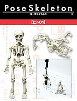 Amazon | ポーズスケルトン ヒト (1) | フィギュア・ドール 通販