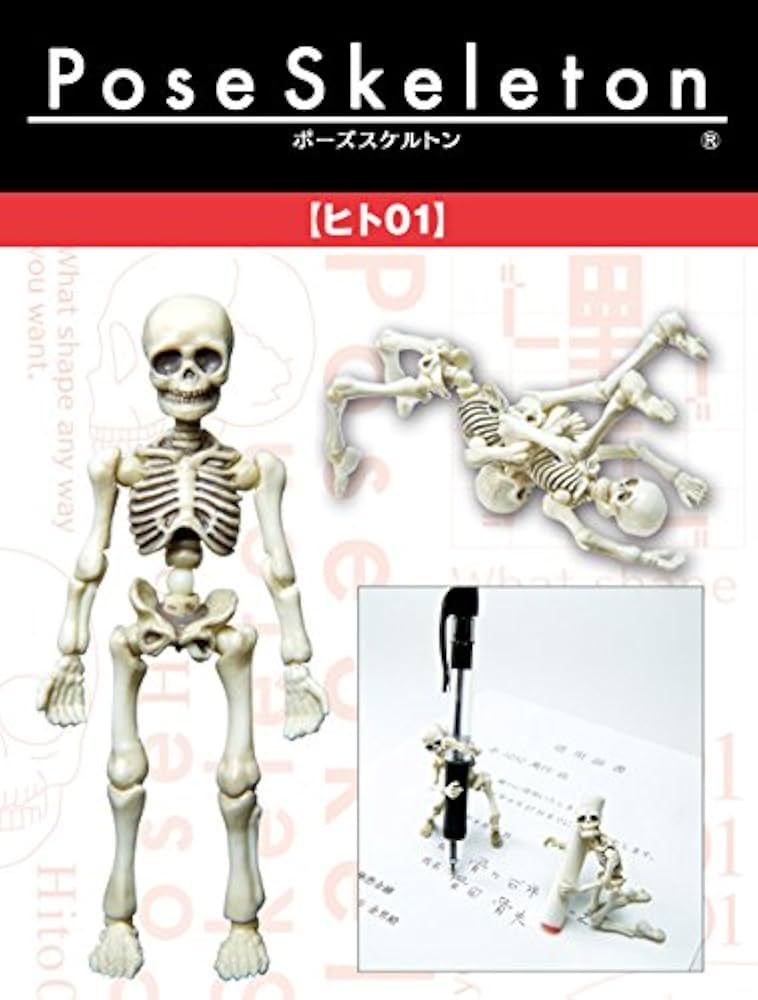 Amazon | ポーズスケルトン ヒト (1) | フィギュア・ドール 通販