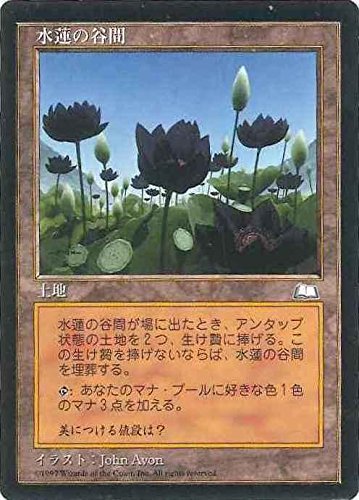 Amazon.co.jp: マジックザギャザリング MTG 土地 日本語版 水蓮の谷間