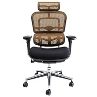 Amazon.co.jp: 【旧型】 エルゴヒューマン ベーシック オフィスチェア