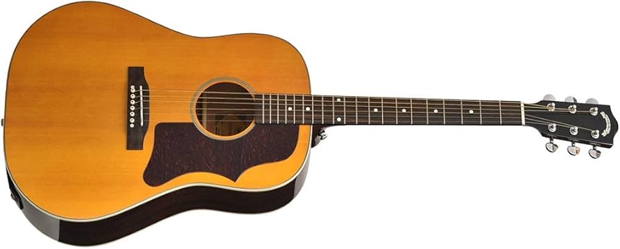 Amazon.co.jp: Headway HJ-BUDDY ANA アコースティックギター