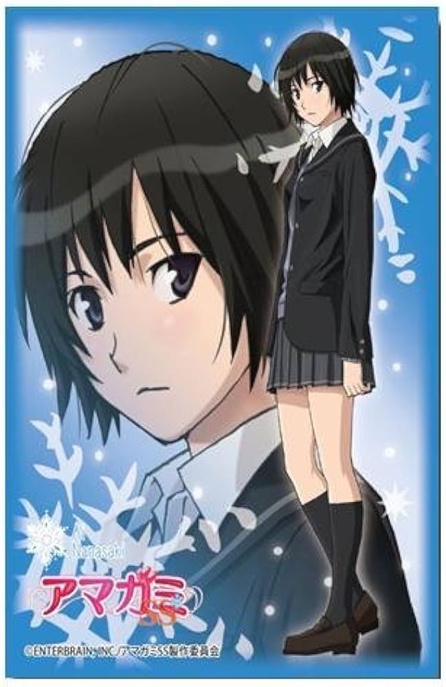 Amazon | ブシロードスリーブコレクションHG (ハイグレード) Vol.40