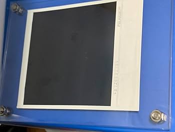 Amazon.co.jp: あのちゃん 直筆サイン入り ポラロイド写真 : おもちゃ